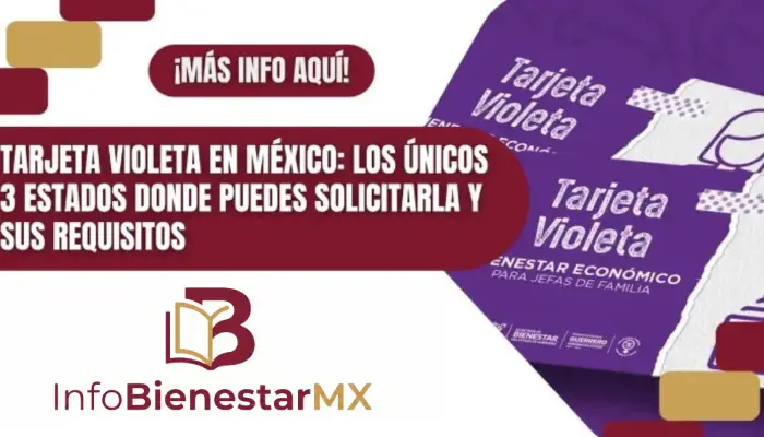 Tarjeta Violeta en México: Los únicos 3 estados donde puedes solicitarla y sus requisitos