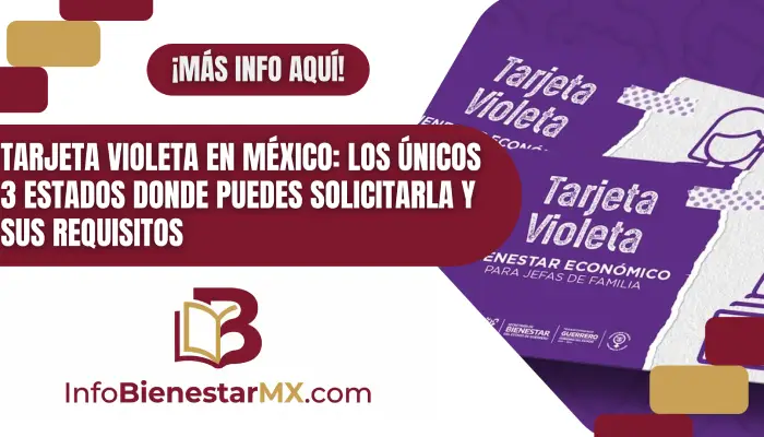 Tarjeta Violeta en México: Los únicos 3 estados donde puedes solicitarla y sus requisitos