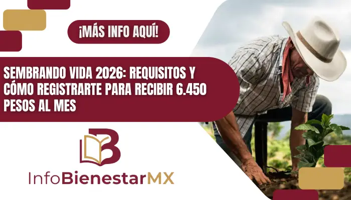 Sembrando Vida 2026: requisitos y cómo registrarte para recibir 6.450 pesos al mes