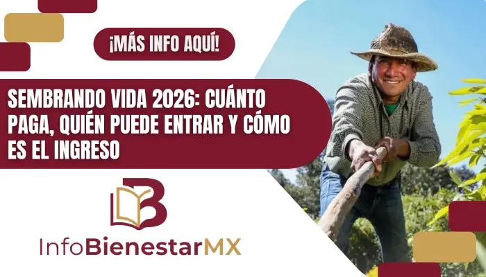 Sembrando Vida 2026: cuánto paga, quién puede entrar y cómo es el ingreso